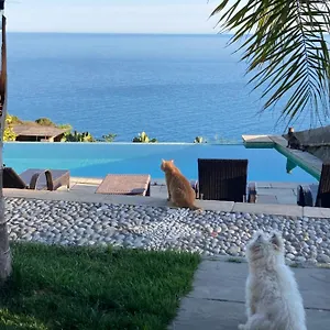  Bed & Breakfast B&bilfortesulmare